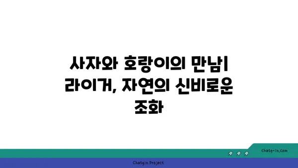 라이거| 사자와 호랑이의 만남, 놀라운 하이브리드 동물의 세계 | 라이거, 사자, 호랑이, 하이브리드, 동물