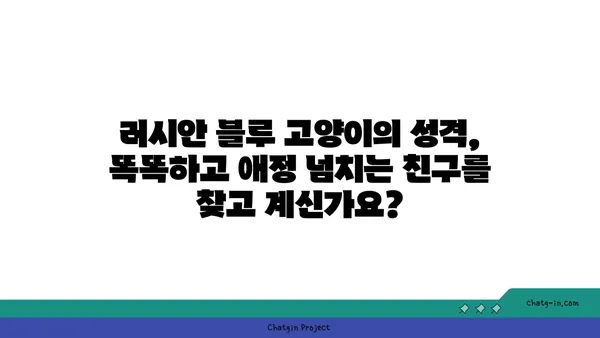 러시안 블루 고양이| 매력적인 품종의 모든 것 | 러시안 블루, 고양이 품종, 성격, 특징, 건강