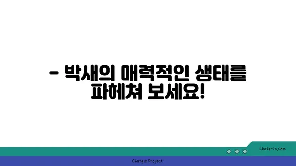 박새 관찰 가이드| 생태, 먹이, 서식지 | 박새, 야생조류, 조류 관찰