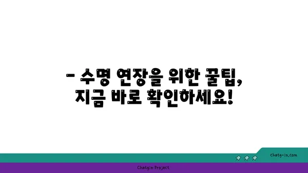 개의 수명, 품종별로 얼마나 될까요? | 개 수명, 평균 수명, 품종별 수명, 수명 연장 팁