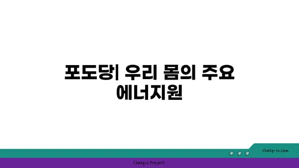 포도당의 모든 것| 구조, 기능, 그리고 건강 | 탄수화물, 에너지, 혈당, 당뇨병, 영양