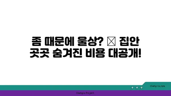 좀 때문에 울상? 😱 집안 곳곳 숨겨진 비용, 솔직하게 밝힙니다 | 좀, 재정적 피해, 숨겨진 비용, 해결 방안