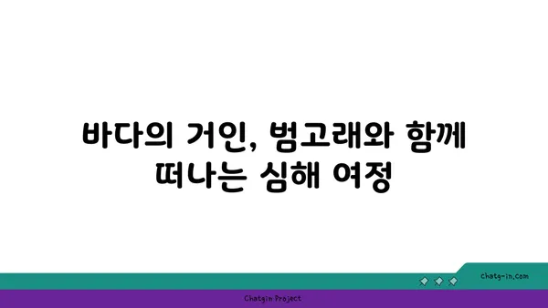 범고래의 비밀| 심해의 거인을 파헤치다 | 고래, 해양 생물, 심해 탐험