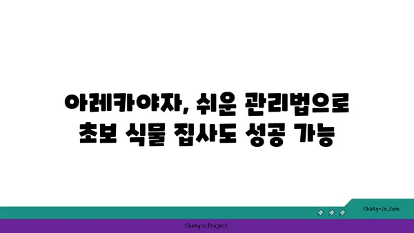 아레카야자 키우기 완벽 가이드 | 실내 식물, 공기 정화, 관리법, 번식