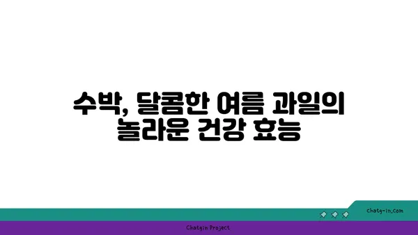 수박의 놀라운 건강 효과| 당신의 여름을 더욱 건강하게! | 수박 효능, 수박 영양, 수박 레시피