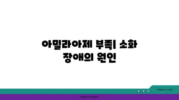 아밀라아제의 역할과 작용 기전| 소화 과정의 핵심 효소 | 소화 효소, 탄수화물 분해, 췌장 효소