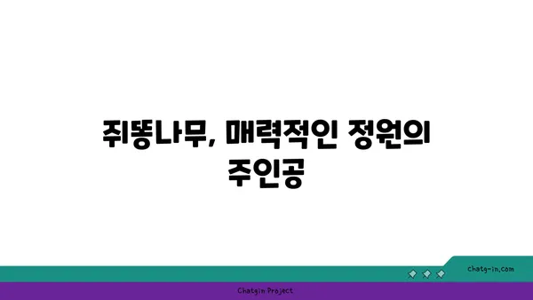 쥐똥나무의 매력|  정원에 심는 쥐똥나무 종류와 관리법 | 쥐똥나무, 정원수, 조경, 식재, 관리