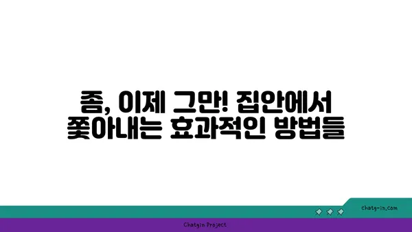 좀 퇴치| 집안의 거침없는 침입자를 없애는 완벽 가이드 | 좀, 퇴치, 벌레, 해충, 천연, 살충제