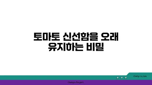 토마토 신선하게 오래 보관하는 방법| 포장 & 보관 꿀팁 | 토마토 보관, 영양 유지, 신선도 유지