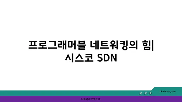 시스코 SDN| 네트워크를 소프트웨어로 프로그래밍하는 혁신 | SDN, 네트워크 자동화, 프로그래머블 네트워킹