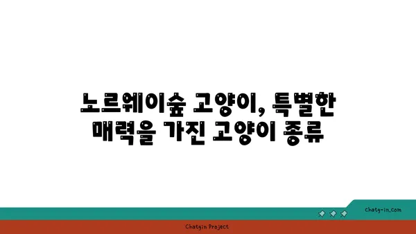 노르웨이숲 고양이 완벽 가이드| 성격, 외모, 건강, 그리고 입양 | 노르웨이숲, 고양이 종류, 반려묘, 분양