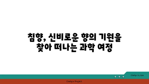 침향 향의 비밀| 향기 속에 담긴 과학 탐구 | 침향, 향, 연구, 과학, 향기, 분석