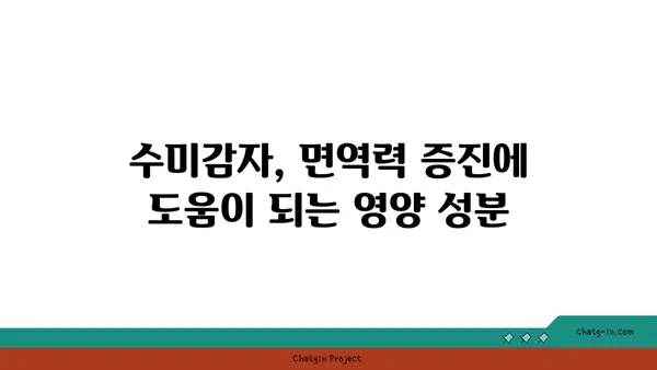 수미감자 면역력 강화 효과| 섭취 방법과 활용법 | 면역력 증진, 건강 식단, 수미감자 레시피