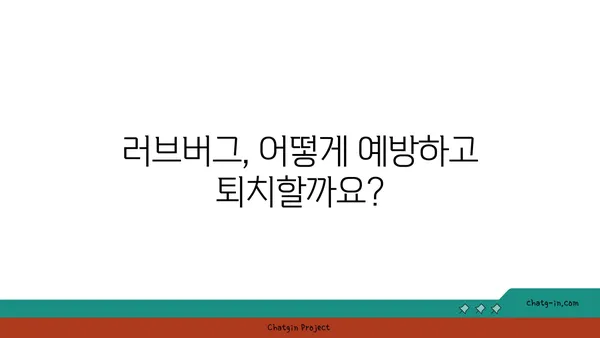 러브버그, 이제 걱정하지 마세요! 예방과 치료 완벽 가이드 | 해충, 방제, 퇴치, 팁