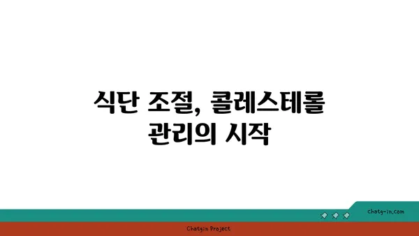 콜레스테롤 관리, 이렇게 하면 효과적입니다 | 건강, 식단, 운동, 혈액 검사, 예방