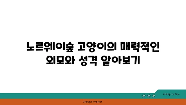 노르웨이숲 고양이 완벽 가이드| 성격, 외모, 건강, 그리고 입양 | 노르웨이숲, 고양이 종류, 반려묘, 분양