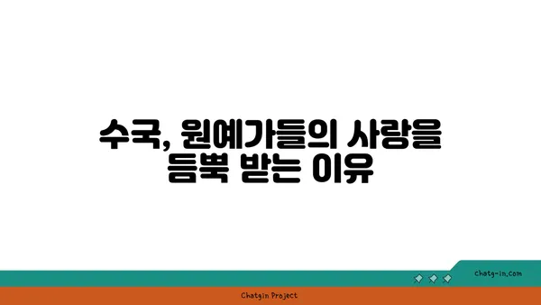 수국, 빅토리아 시대에서 현재까지| 변화와 아름다움의 역사 | 수국, 빅토리아 시대, 원예, 꽃, 역사