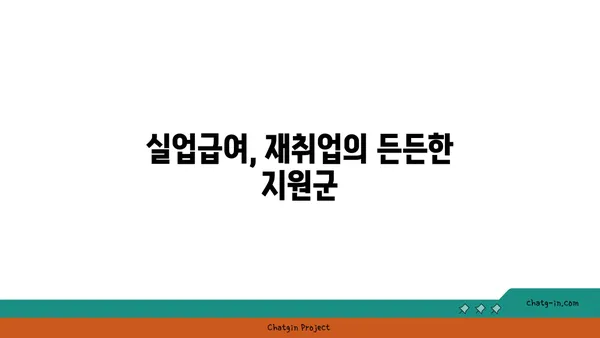 실업급여 받으면서 재취업 성공하기| 지원 프로그램 활용 가이드 | 실업급여, 재취업 지원, 취업 지원 프로그램