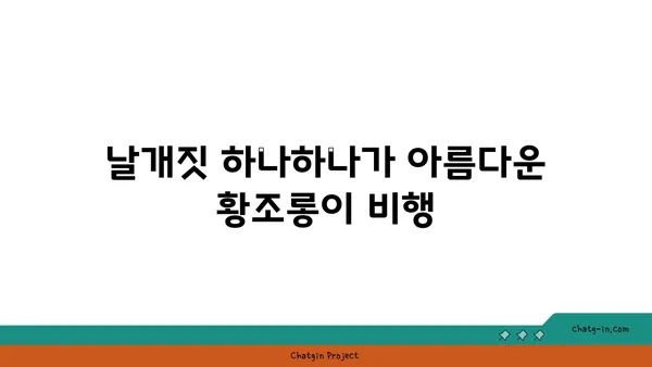 황조롱이 관찰 가이드| 서식지, 습성, 그리고 아름다운 비행 | 야생동물 관찰, 조류 관찰, 탐조 팁