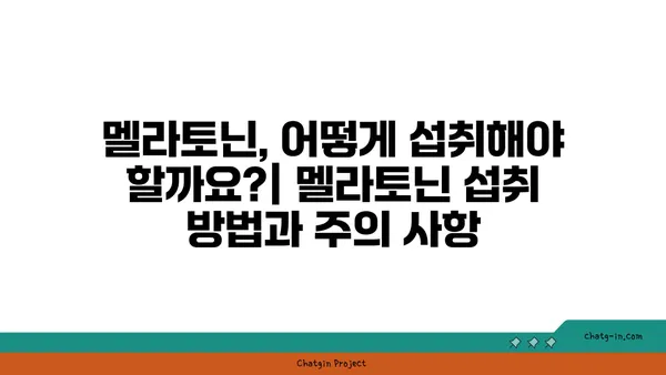 멜라토닌과 암| 예방 및 치료 가능성 | 멜라토닌, 암 예방, 암 치료, 건강 정보