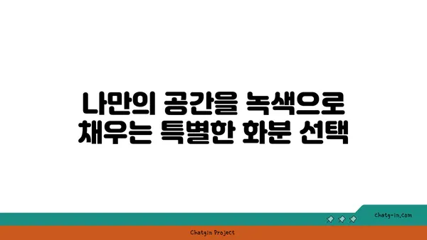 나만의 공간을 아름답게! 🌿 화분 선택 가이드 | 식물, 인테리어, 공기 정화, 베란다 정원, 실내 식물