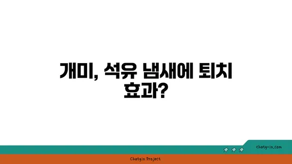 개미가 석유를 싫어한다고? | 개미 퇴치, 천연 해충 방제, 석유 효과