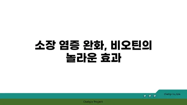 비오틴이 소장 건강에 미치는 영향| 알아야 할 5가지 효능 | 비오틴, 소장, 건강, 영양소, 장 건강