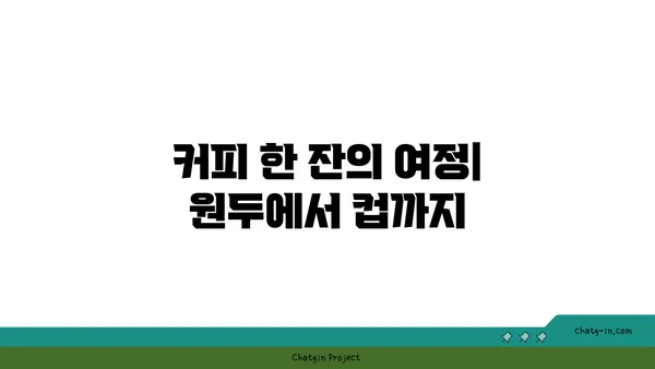 세계인이 사랑한 커피의 모든 것| 원두부터 추출까지 완벽 가이드 | 커피, 원두, 추출, 종류, 역사, 문화