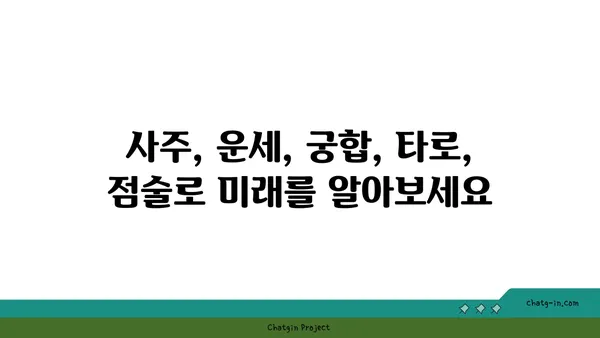 염자, 당신의 운명을 밝혀줄 7가지 해석 | 사주, 운세, 궁합, 풀이, 운명, 타로, 점술