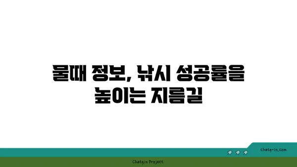 물때표 보는 방법| 초보자를 위한 상세 가이드 | 낚시, 조개잡이, 바닷물 흐름, 물때 정보