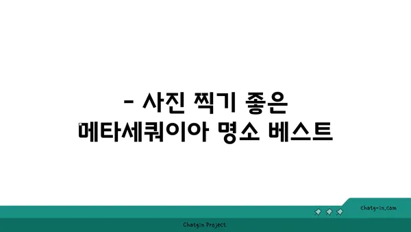 메타세쿼이아 명소 탐방 가이드 | 가을, 단풍, 여행, 추천