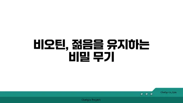 비오틴의 놀라운 효능! 노화 방지에 효과적인 비오틴 활용법 | 건강, 뷰티, 영양, 비타민