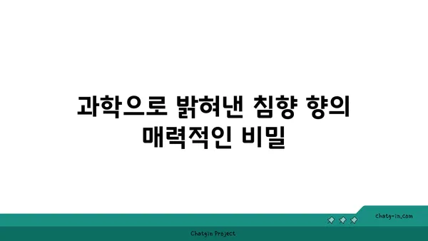 침향 향의 비밀| 향기 속에 담긴 과학 탐구 | 침향, 향, 연구, 과학, 향기, 분석