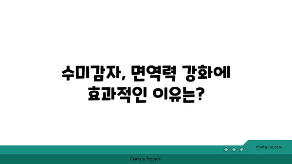 수미감자 면역력 강화 효과| 섭취 방법과 활용법 | 면역력 증진, 건강 식단, 수미감자 레시피