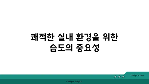 완벽한 습도| 사람이 편안함을 느끼는 최적의 습도 수준 | 쾌적한 실내 환경, 습도 조절, 건강 팁