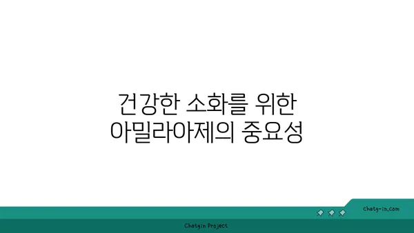 아밀라아제의 역할과 작용 기전| 소화 과정의 핵심 효소 | 소화 효소, 탄수화물 분해, 췌장 효소