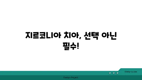 지르코니아 치아, 이제는 선택이 아닌 필수! | 지르코니아 크라운, 장점과 단점, 가격 비교