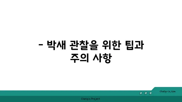 박새 관찰 가이드| 생태, 먹이, 서식지 | 박새, 야생조류, 조류 관찰