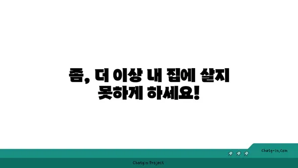 깨끗한 집의 비밀| 좀을 쫓아내는 5가지 실용적인 기술 | 벌레 퇴치, 집 청소, 홈 케어