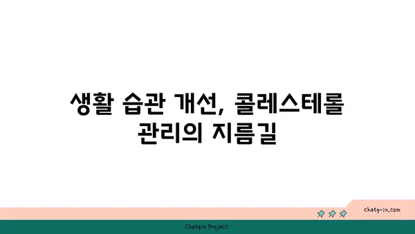 콜레스테롤 관리의 3가지 비결| 건강한 삶을 위한 실천 가이드 | 건강, 콜레스테롤, 식단, 운동, 생활 습관