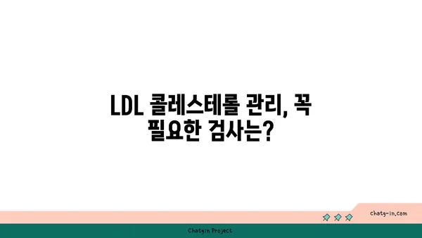 나쁜 콜레스테롤, LDL 정복하기| 저밀도 지단백질 완벽 가이드 | 콜레스테롤, 건강, 심혈관 질환