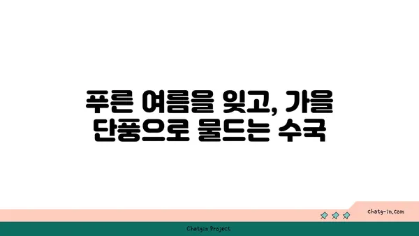 수국의 잎, 가을 색으로 물들다| 계절의 변화를 감상하는 특별한 방법 | 수국, 가을, 단풍, 잎, 감상