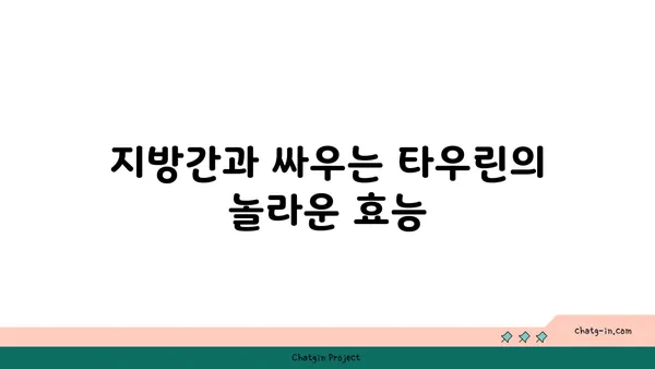 지방간 관리에 타우린이 도움이 되는 이유 | 타우린 효능, 지방간 개선, 건강 관리