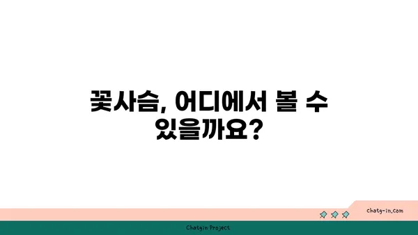 꽃사슴의 매력에 빠지다| 한국에서 만날 수 있는 꽃사슴 종류와 서식지 | 꽃사슴, 한국, 서식지, 종류, 정보