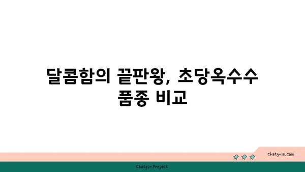 초당옥수수 제대로 맛보는 법| 품종별 특징과 요리 레시피 | 옥수수 품종, 맛 비교, 초당옥수수 요리