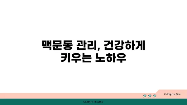 맥문동 효능과 재배 방법| 정원과 건강을 위한 완벽 가이드 | 약초, 뿌리, 꽃, 재배, 관리