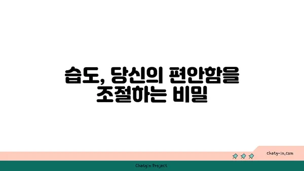 편안함의 온실| 최적의 상대 습도가 인간의 안녕에 미치는 영향 | 쾌적함, 건강, 실내 환경