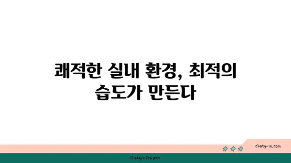 편안함의 온실| 최적의 상대 습도가 인간의 안녕에 미치는 영향 | 쾌적함, 건강, 실내 환경