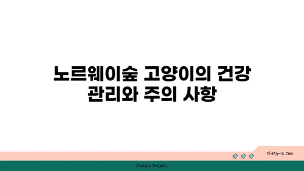 노르웨이숲 고양이 완벽 가이드| 성격, 외모, 건강, 그리고 입양 | 노르웨이숲, 고양이 종류, 반려묘, 분양