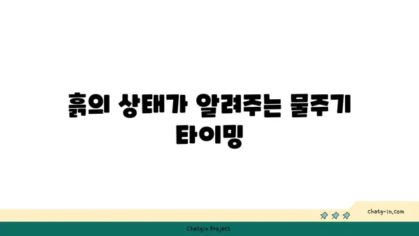 식물도 살리는 물주기 마스터하기| 꿀팁 7가지 | 식물, 물주기, 관리, 성장, 건강